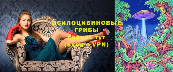 мяу мяу мука Аркадак
