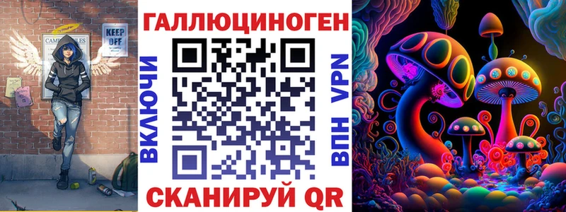 блэк спрут ONION  Тайшет  Галлюциногенные грибы мицелий 